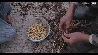 娱乐大于一切 10440627