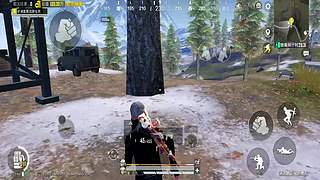 看我直播你也行 12593494