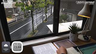 重生之奋发涂墙