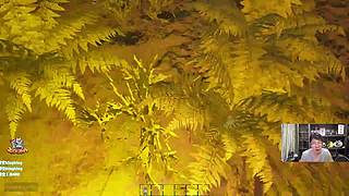 兰林汉：和朋友们玩恐怖钓鱼！