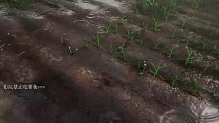 电影级画质，睡眠直播。~