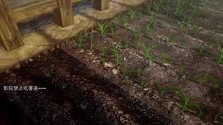 电影级画质，睡眠直播。~