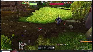 爱抓灵魂兽的boy