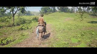 荒野大镖客 1008045