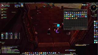 宠物对战全连胜！天梯不败战绩