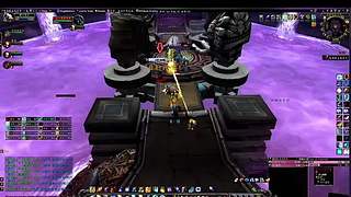 宠物对战全连胜！天梯不败战绩