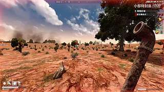 小郜的游戏实况