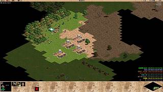 天天阳光176的直播间