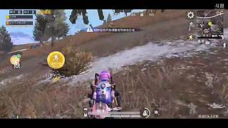 和平精英狗分 11394682