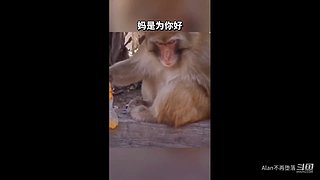 星球大战前线2玩玩看。