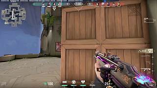 礼物上车、、、