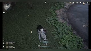 用户5554817399的直播间