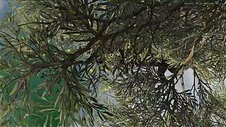 欢迎来到我的直播间 12743600