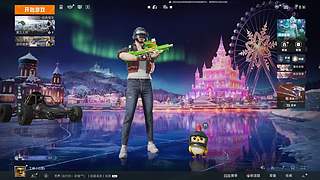 王牌鶂了解一下