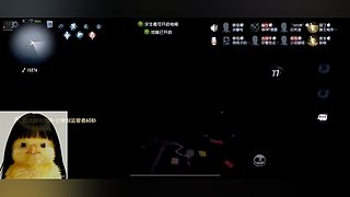 你就是海海海 12772248