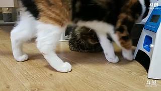 直播编码/推流测试