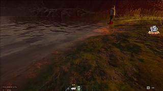 【小白鸽】优质香香女孩