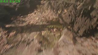 【管子】holstin 另类高能搞笑主播