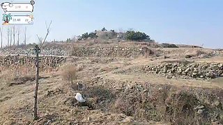 day10，35km，王庄镇