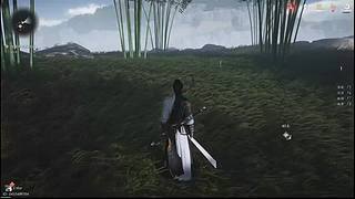 新人主播求关注 446880