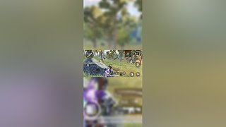 萌新一枚么么哒