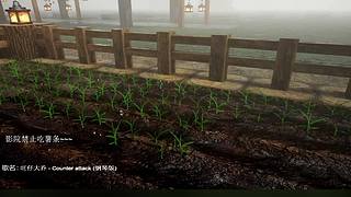 电影级画质，睡眠直播。~