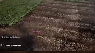 电影级画质，睡眠直播。~