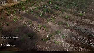 电影级画质，睡眠直播。~