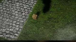 电影级画质，睡眠直播。~