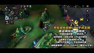 《视频轮播》羊驼文化招募手游LOL