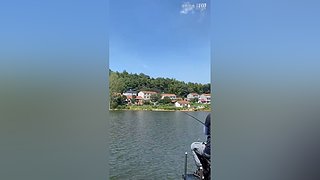 亮gnailux的直播间