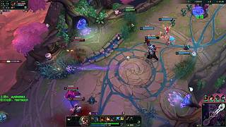 新海斗主播 启动！！！