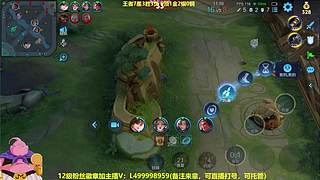 射手10年经验教学局，本人在播来学射手！