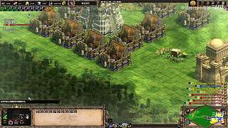 帝国时代2决定版-wolf