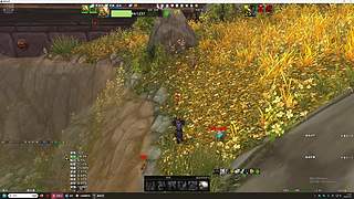 爱抓灵魂兽的boy