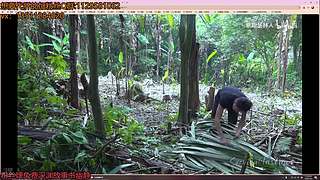 原神真好玩 8735052