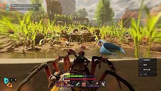 若我不曾见过太阳的直播间