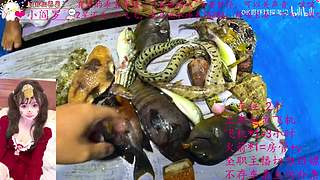 一个打的不错的御姐OvO