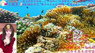 一个打的不错的御姐OvO