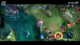 无需鸟标证明 10040721