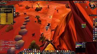 宠物对战全连胜！天梯不败战绩