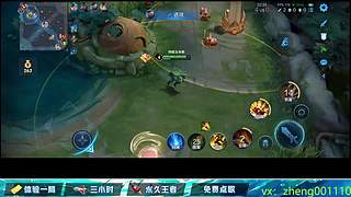 国服野射有车位  可帮打