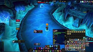 德鲁伊变熊卡形态！只能站着挨揍