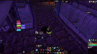 玩具全解锁！收集所有趣味互动道具