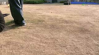 告诉你个秘密 12756493