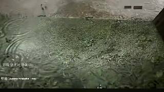 电影级画质，睡眠直播。~