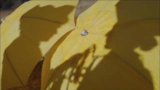 发布会全程回顾&nbsp;5096997