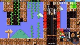 我可能玩了假的马里奥