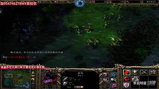 魔兽达尔文进化岛直播间