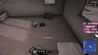 跟着小9混，三天饿九顿